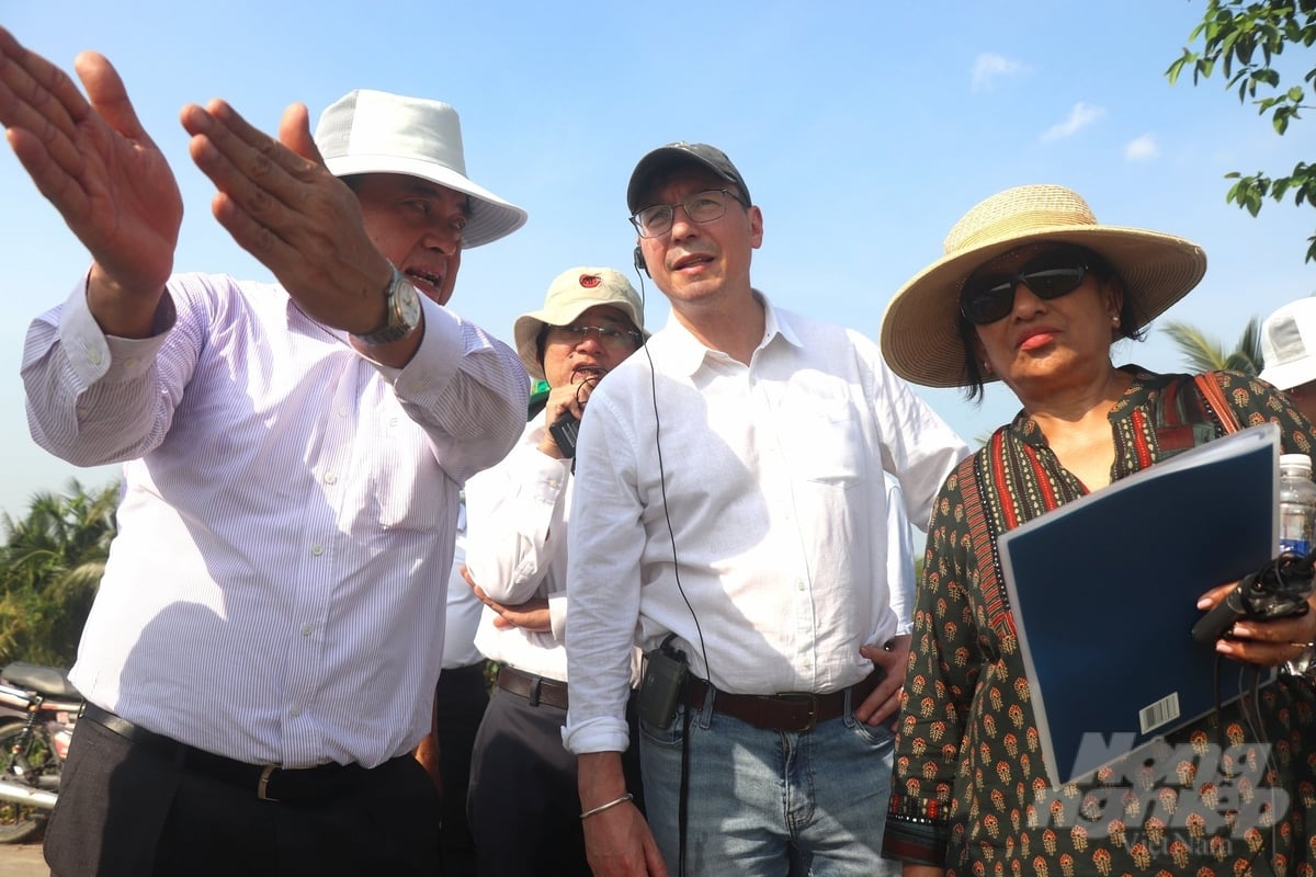 Deputy Minister of Agriculture and Environment Tran Thanh Nam (left cover) introduces to the World Bank delegation the advantages of implementing the One Million Hectare High-Quality Rice Project. Photo: Kim Anh.