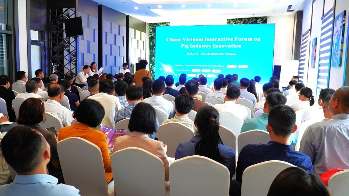 The 'China - Vietnam Pig Farming Innovation Forum' centred on the application of digital technology and artificial intelligence (AI) in pig farming. Photo: Tran Phi.