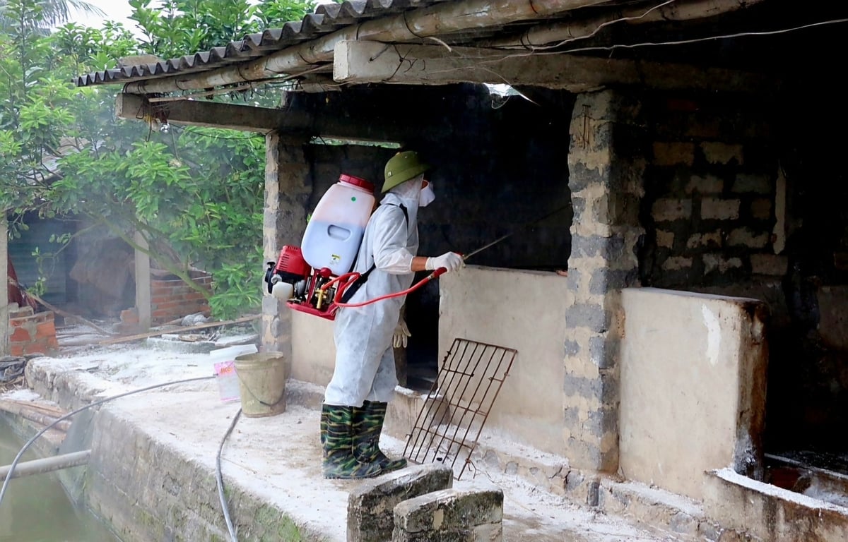 Phun thuốc khử trùng tiêu độc tại hộ chăn nuôi phát hiện dịch tả lợn Châu Phi, xã Yên Đức (TP. Đông Triều). Ảnh: Vũ Cường.