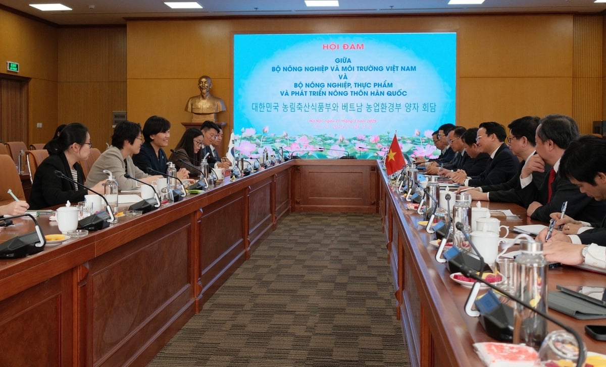 Meeting session between Minister Do Duc Duy and the Ministry of Agriculture, Food and Rural Development of Korea (MAFRA) at the headquarters of the Ministry of Agriculture and Environment on March 21. Photo: Quynh Chi. 