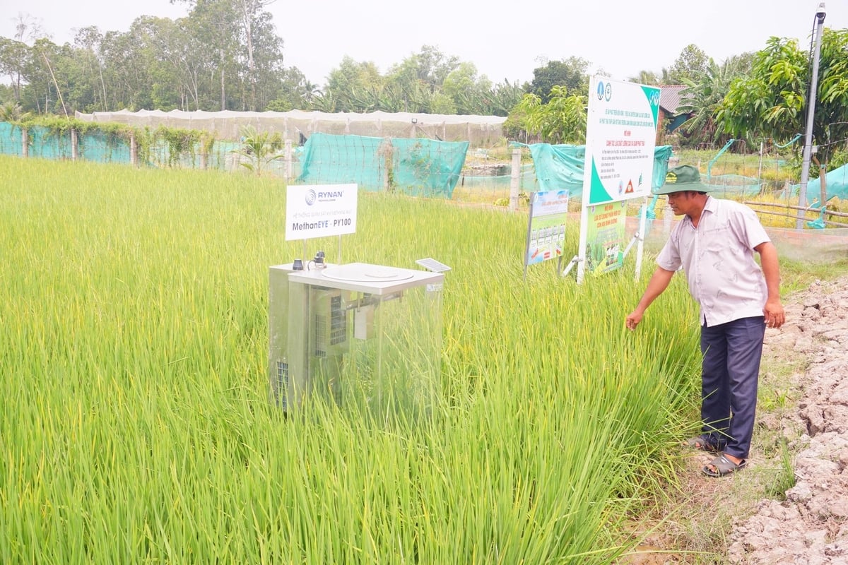 Nông dân tham gia mô hình mong sớm được đầu tư đồng bộ cơ sở hạ tầng. Ảnh: Hồ Thảo.