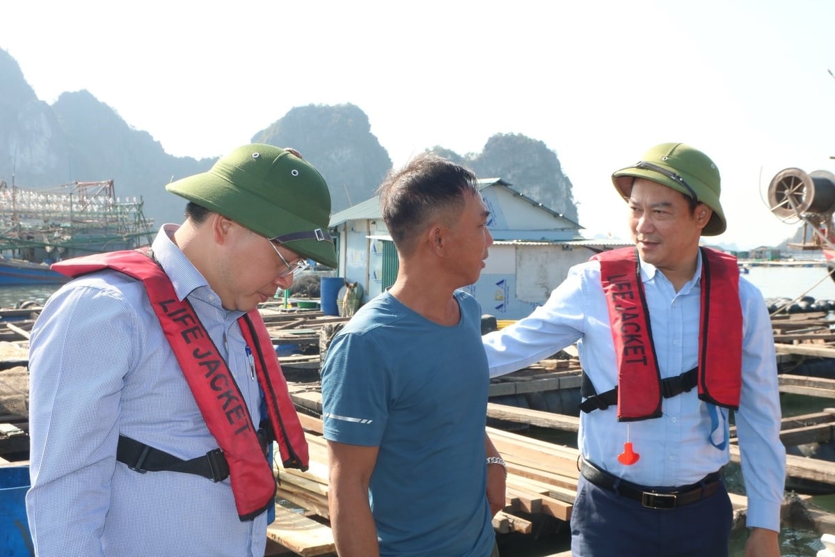 Leaders of the Quang Ninh Department of Agriculture and Environment disseminate information to fishermen on combating illegal fishing. Photo: Nguyen Thanh.