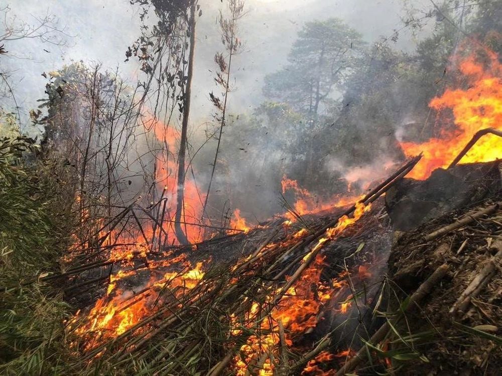 Hiện trường vụ cháy. Ảnh: Chinhphu.vn.