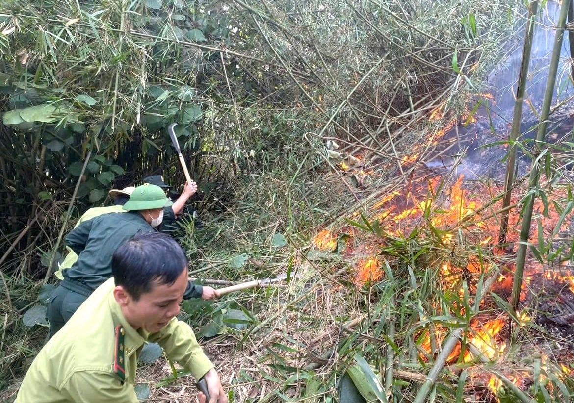 Lực lượng chức năng của tỉnh Tuyên Quang nỗ lực chữa cháy rừng. Ảnh: Đào Thanh.