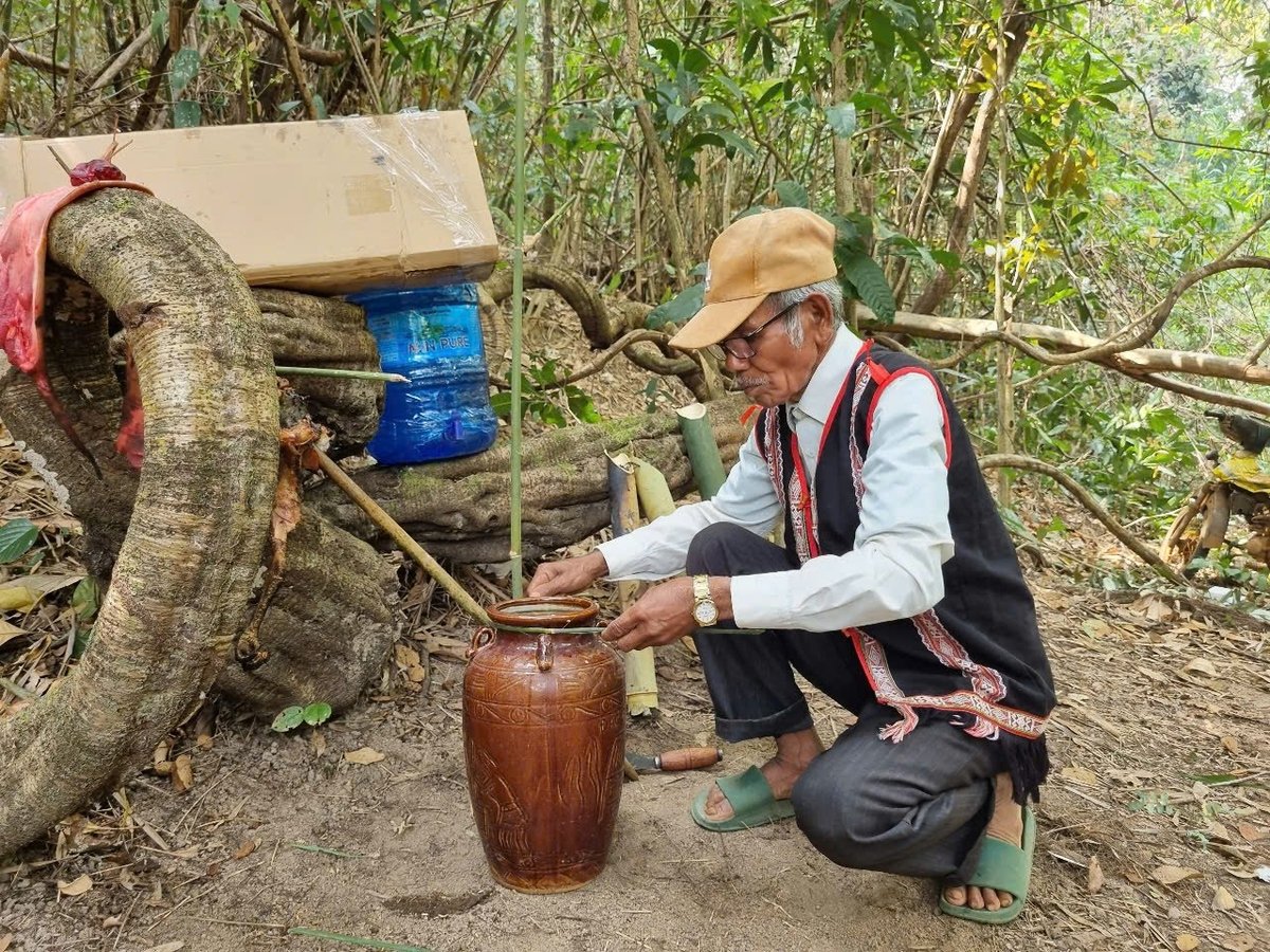 Già làng Siu Dơih cẩn thận đặt bình rượu cần tại vị trí làm lễ cúng rừng. Ảnh: Tuấn Anh.