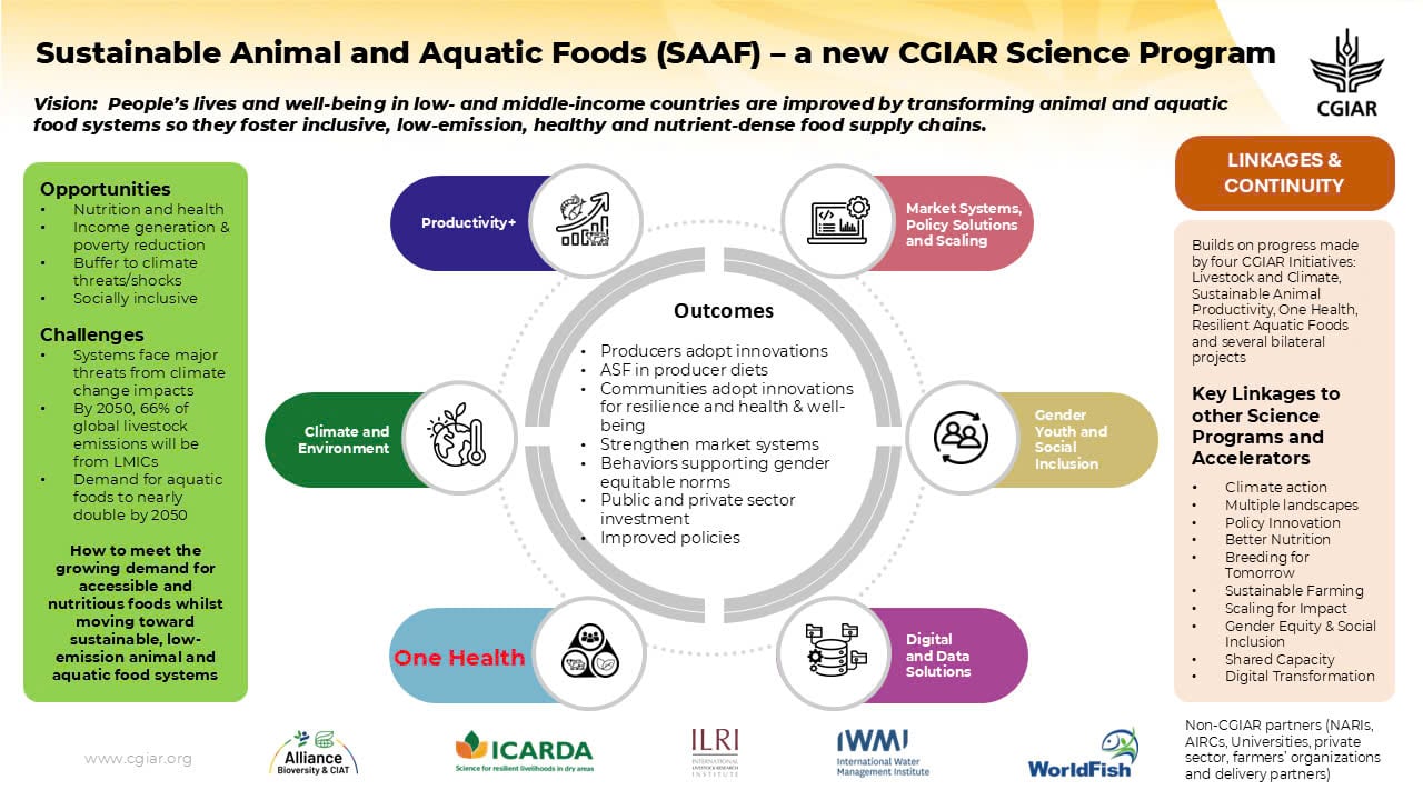 SAAF (Sustainable Animal and Aquatic Food Systems) is one of eight CGIAR (Consultative Group on International Agricultural Research) Science Programs, focused on creating sustainable solutions within animal and aquatic food systems.