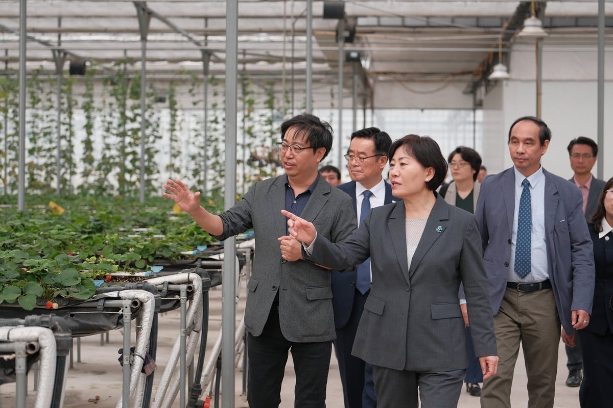 Minister Song Miryung of the Ministry of Agriculture, Food, and Rural Affairs of South Korea (MAFRA) explored the high-tech agricultural model at the Vietnam Academy of Agricultural Sciences on March 23. Photo: Quynh Chi.