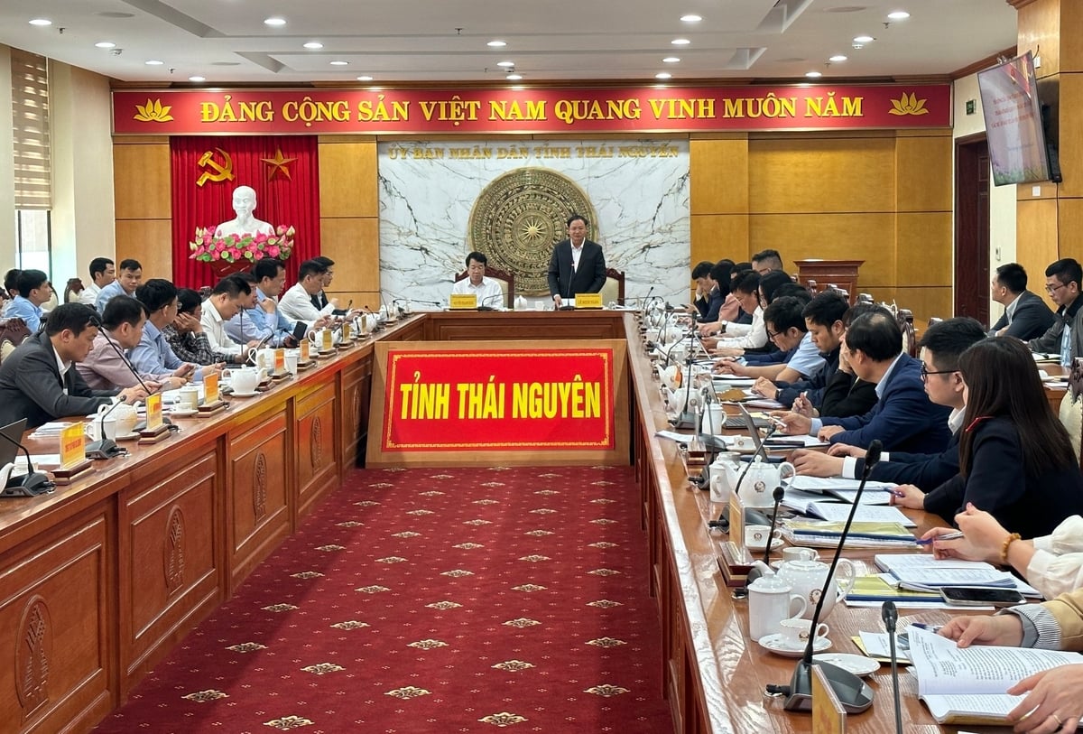 Task force No. 4 of the Steering Committee on reviewing and resolving difficulties and obstacles related to investment projects worked with the Thai Nguyen Provincial People's Committee. Photo: Quang Linh.