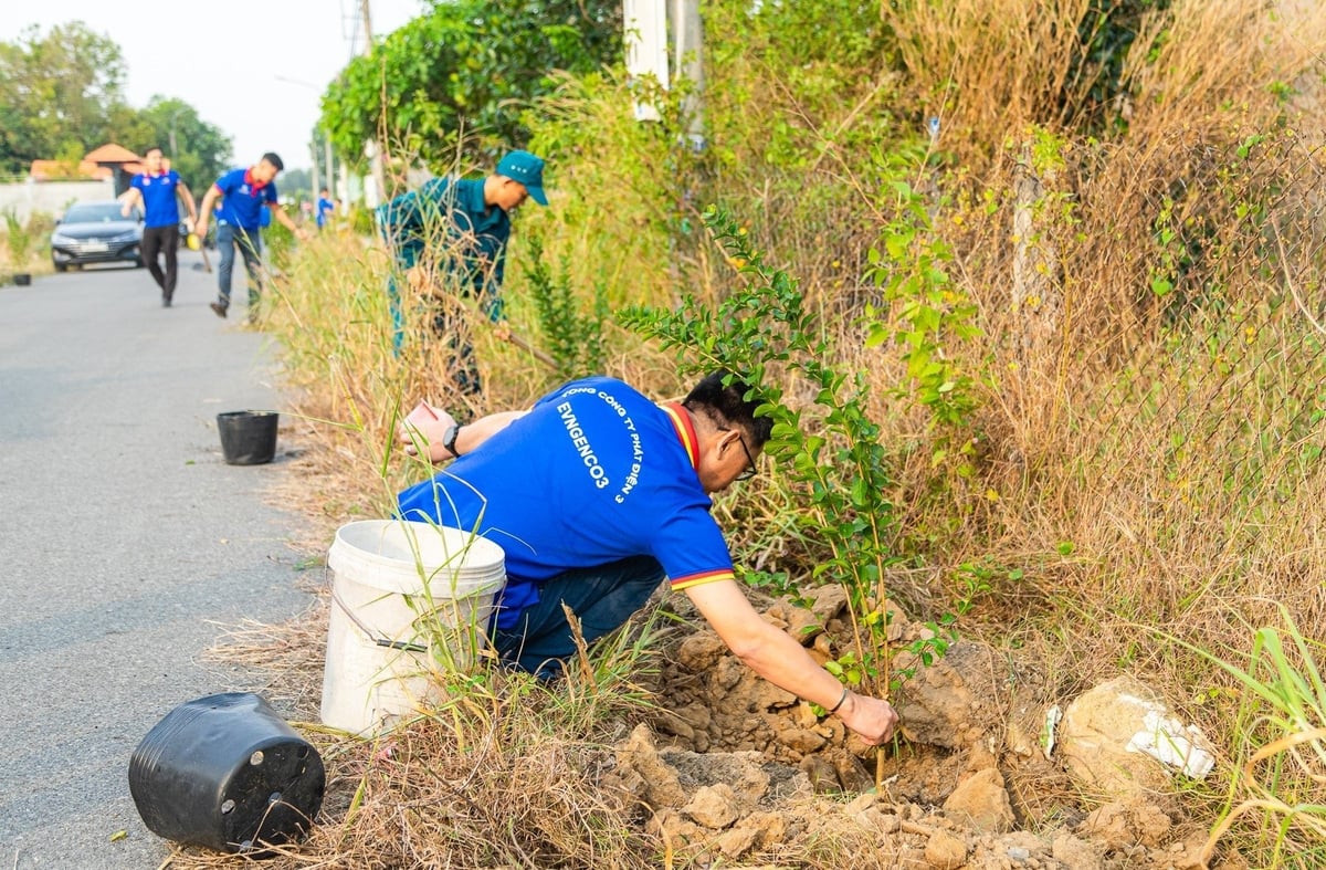 Phát hoang và trồng hoa ven tuyến đường nông thôn. Ảnh: EVNGENCO3.