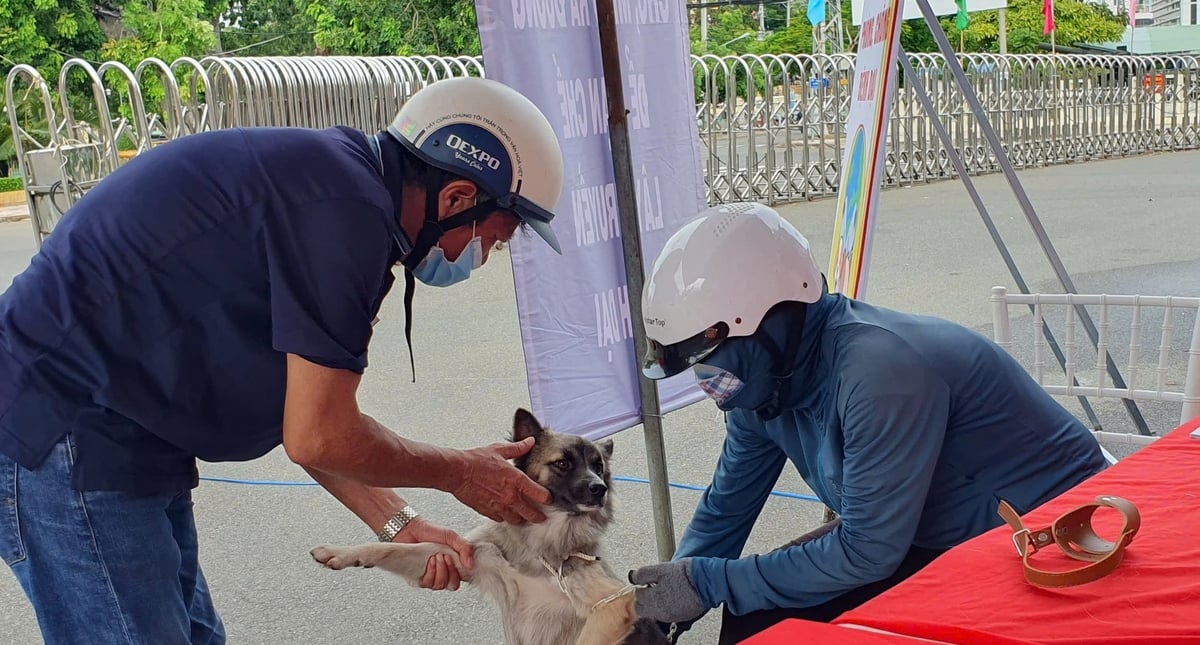 Để phòng chống bệnh dại, người dân cần tiêm phòng vacxin dại cho chó mèo. Ảnh: KS.