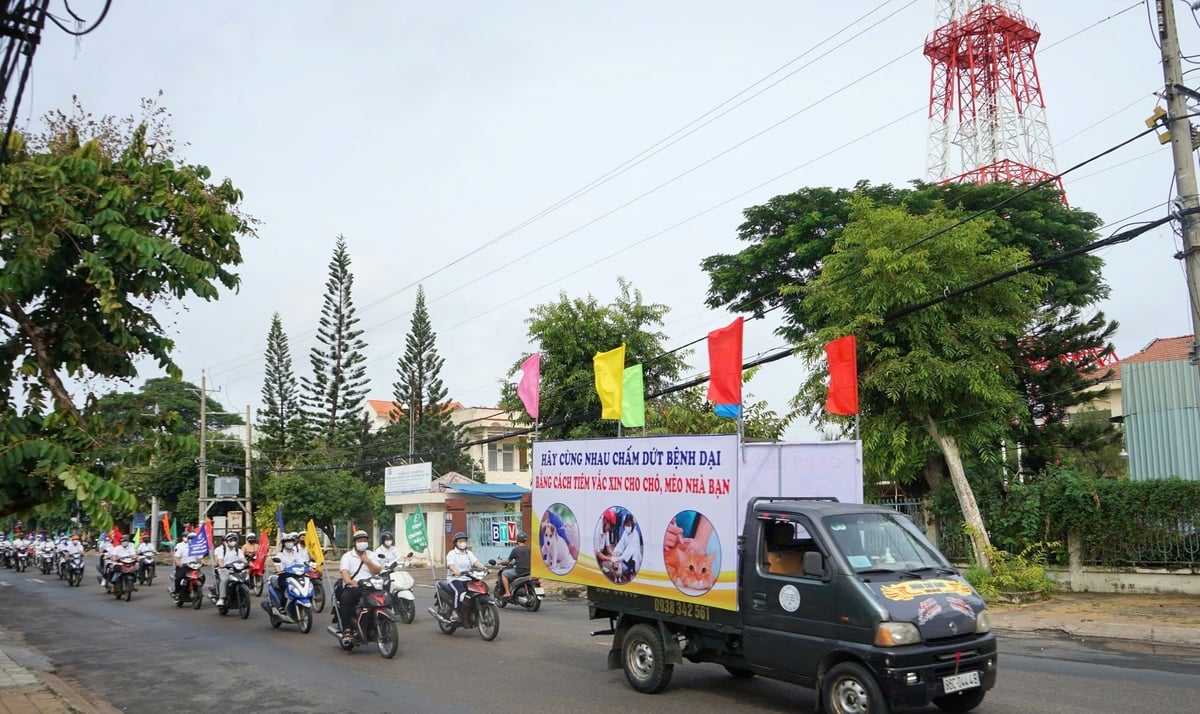 Thời gian qua, tỉnh Bình Thuận tuyên truyền phòng chống bệnh dại. Ảnh: KS.