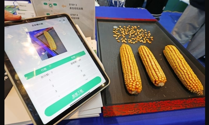 The smart seed counting applet on display at the 2025 Seed Congress and Nanfan Agricultural Silicon Valley Forum held in Sanya, South China's Hainan Province from March 19 to March 23, 2025. Photo: Sanya Daily.