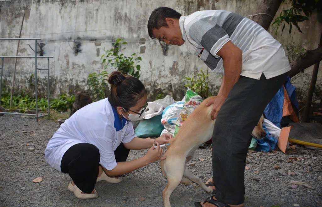 Người dân cần chấp hành các quy định phòng chống bệnh dại. Ảnh: KS.