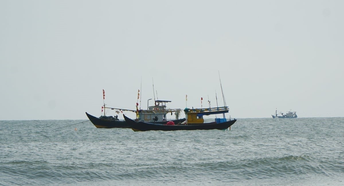 The fishing vessels using fishing tools that endanger and destroy aquatic resources, the habitat of aquatic species, and aquatic ecosystems in Ba Ria-Vung Tau are gradually switching to more environmentally friendly jobs. Photo: Le Binh. The fishing vessels using fishing tools that endanger and destroy aquatic resources, the habitat of aquatic species, and aquatic ecosystems in Ba Ria-Vung Tau are gradually switching to more environmentally friendly jobs. Photo: Le Binh.