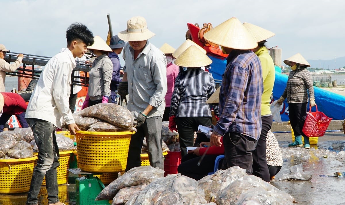 The fact that fishing vessels comply with the job transformation not only helps Vietnam quickly remove the IUU 'yellow card' but also promotes the sustainable development of the fisheries industry. Photo: Tran Phi. The fact that fishing vessels comply with the job transformation not only helps Vietnam quickly remove the IUU 'yellow card' but also promotes the sustainable development of the fisheries industry. Photo: Tran Phi.