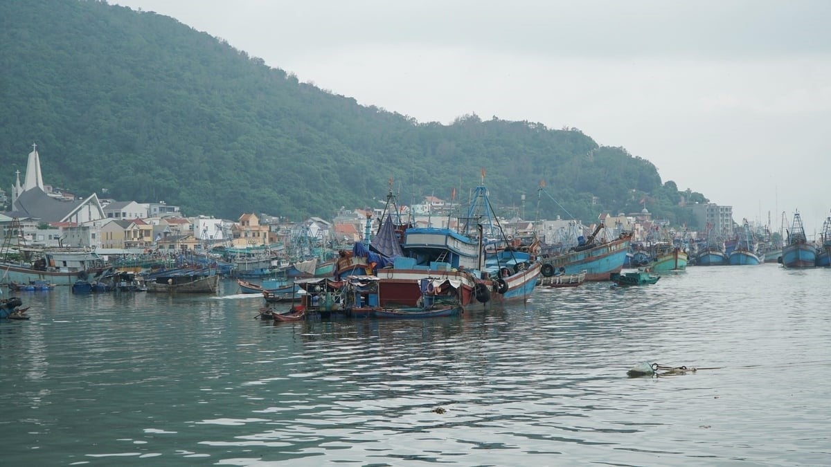 Ba Ria-Vung Tau also plans to 'ban the sea' during the fixed period and guide fishermen to fish in the area and season for fish and shrimp to reproduce and develop. Photo: Tran Phi. Ba Ria-Vung Tau also plans to 'ban the sea' during the fixed period and guide fishermen to fish in the area and season for fish and shrimp to reproduce and develop. Photo: Tran Phi.