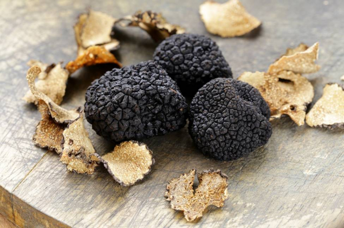 Nấm Truffle được ví von là 'chất gây nghiện' của giới ẩm thực.