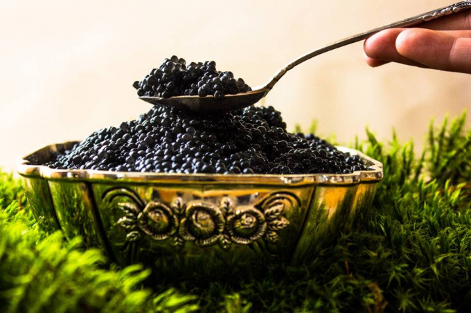 Trứng cá muối Caviar được mệnh danh là những viên 'ngọc trai đen' đến từ biển cả.