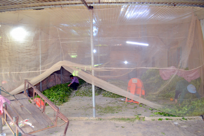 Việc áp dụng lưới ngăn ruồi phòng chống dịch bệnh là một cách làm hiệu quả người dân Đăng Hà. Ảnh: Trần Trung.