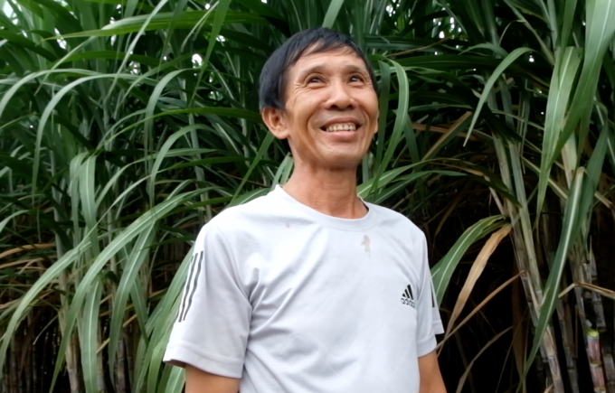 Ông Trương Văn Thệ tự tin gắn bó với cây mía vì được hỗ trợ từ nhà máy.