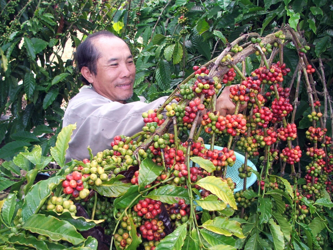Chương trình giúp hỗ trợ mở rộng thị trường tiêu thụ nội địa, thúc đẩy quảng bá thương hiệu cà phê Việt Nam.