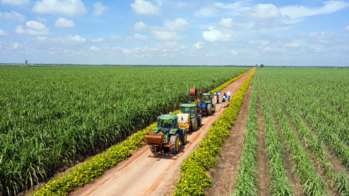 Theo ông Đặng Văn Thành, rất cần thiết cơ giới hóa ngành mía đường, từ trồng trọt cho tới thu hoạch…