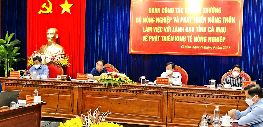 Bộ trưởng Lê Minh Hoan cùng Đoàn công tác Bộ NN-PTNT làm việc với lãnh đạo tỉnh Cà Mau, sáng 24/9. Ảnh: MS-TL.