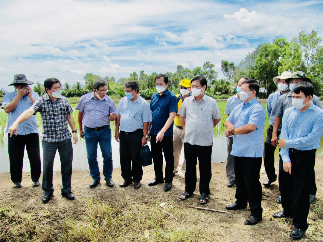 Bộ trưởng Lê Minh Hoan cùng Đoàn công tác Bộ NN-PTNT thăm quan vùng nuôi tôm tại Cà Mau, ngày 23/9. Ảnh: MS-TL.