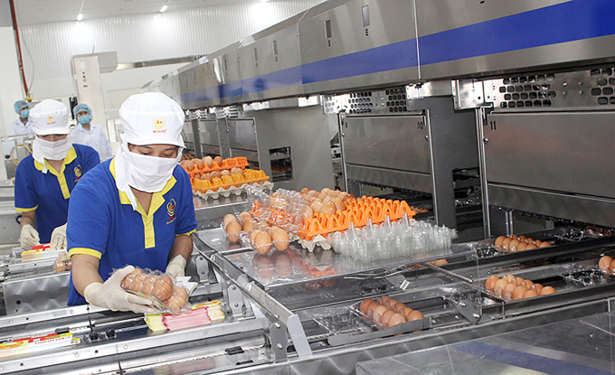 Production activities at Ba Huan Co., Ltd.