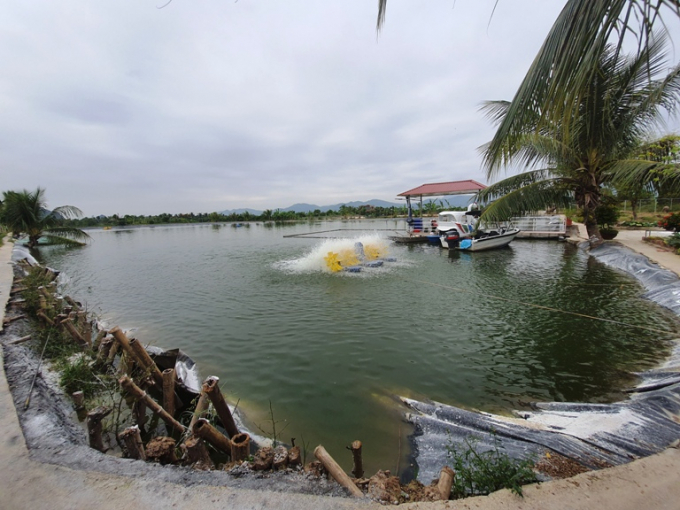 Mô hình nuôi cá trắm đen quy mô ở khu Phú Thanh Tây, phường Yên Thanh. Ảnh: Hoàng Nguyên