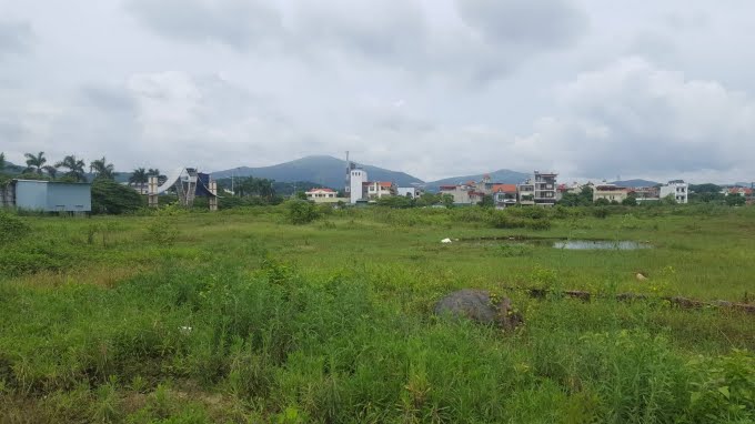 Đất đai hoang hóa, cỏ mọc um tùm tại Dự án Khu trung tâm Thương mại và dân cư Cầu Sến Uông Bí sau 17 năm triển khai. Ảnh: Hoàng Nguyên