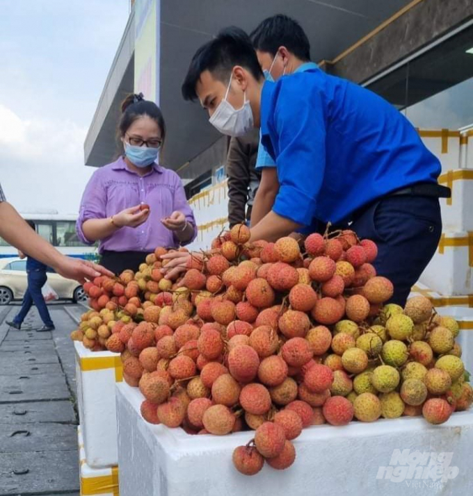 Các đơn vị thành viên TKV tích cực thu mua, tiêu thụ vải thiều cho nông dân Bắc Giang 