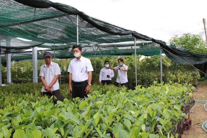 Cán bộ Agribank Chi nhánh Chợ Lách thăm cơ sở sản xuất cây giống của gia đình ông Phùng Thanh Hùng.