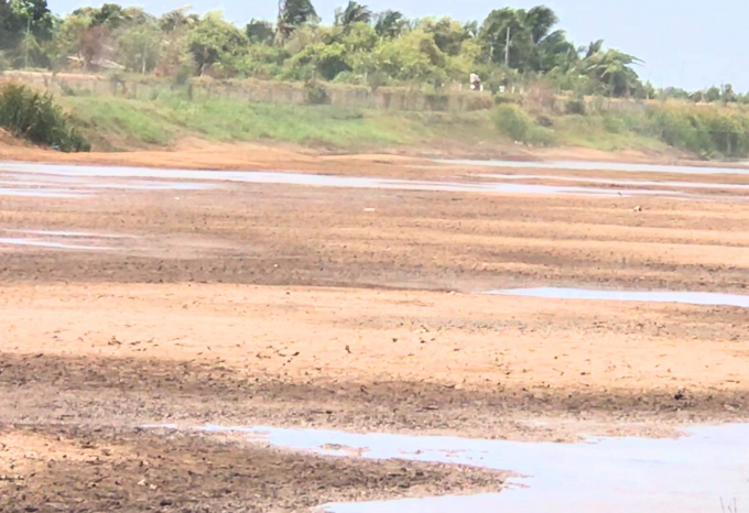 Hồ nước ngọt Ba Tri đãkhô cạn do mùa khô và xâm nhập mặn năm 2019-2020 kéo dài. Xây dựng hồ Lạc Địa sẽ giảm tải áp lực nước sinh họat cho vùng ven biển Ba Tri. Ảnh: Minh Đảm.