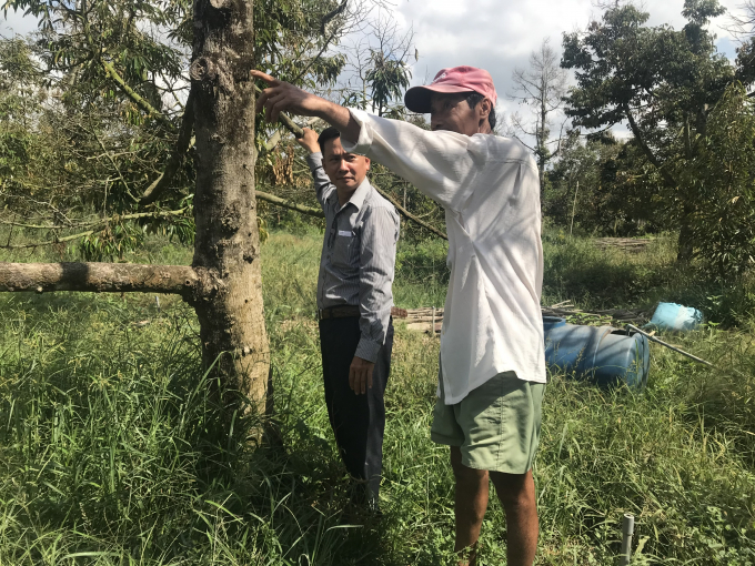 Cục Trồng trọt đưa ra nhữngkhuyến cáo để ứng phó với hạn mặn trong mùa khô tới. Ảnh: Minh Đãm.