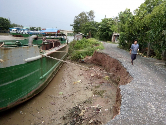 Một đoạn đê ven kênh Chợ Gạo bị sạt lở. Ảnh: Minh Đảm.