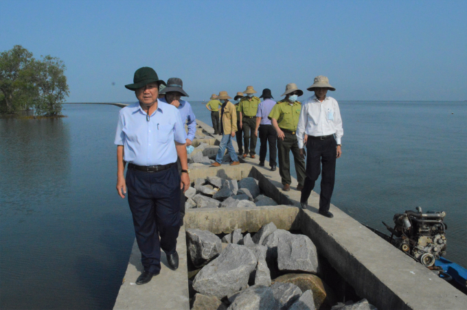 Kè gây bổi tạo bãi, trồng rừng chống sạt lở đê biển tại khu vực Mũi Rãnh, huyện An Biên. Ảnh: Trung Chánh.