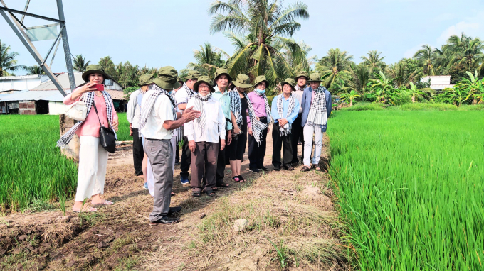 Khảo sát vùng trồng lúa hữu cơ tại HTX Làng hữu cơ Hiếu Thuận. Ảnh: Minh Đảm.
