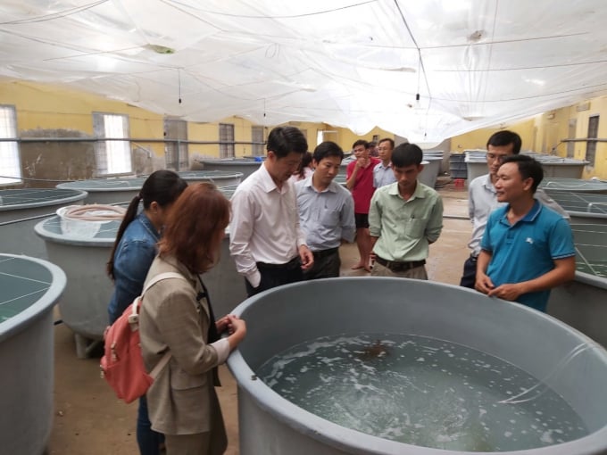 Người dân tham quan trại sản xuất giống cua biển ở huyện Cầu Ngang, tỉnh Trà Vinh. Ảnh: Hữu Đức.