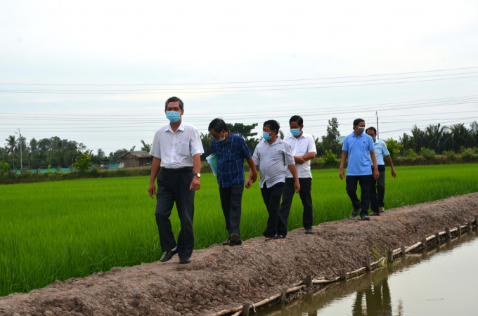 Sở Khoa học Công nghệ tỉnh Trà Vinh khảo sát mô hình lúa hữu cơ tại cù lao Long Hoà và Hoà Minh. Ảnh: Hữu Đức.