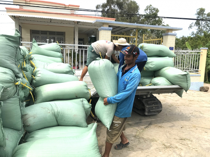 Giá lúa tăng so với giữa tháng 10 nhưng nhìn chung nông dân trồng lúa ở Vĩnh Long đạt lợi nhuận thấp nhất trong năm. Ảnh: Minh Đảm.