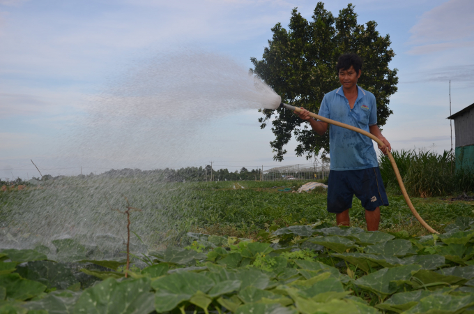 Nông dân Lê Quốc Hùng ở ấp Huyền Đức, xã Long Sơn, huyện Cầu Ngang phấn khởi cho biết: Từ khi có dự án hồ nước ngọt, gia đình ông sản xuất rau màu ổn định, năng suất tăng, thu nhập khá. Ảnh: Hữu Đức.