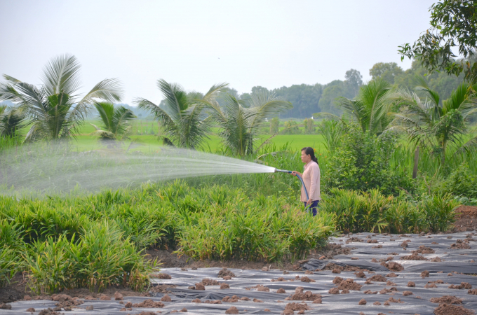 Các tỉnh ĐBSCL đang chủ động ứng phó hạn mặn mùa khô 2021-2022. Ảnh: Minh Đảm.