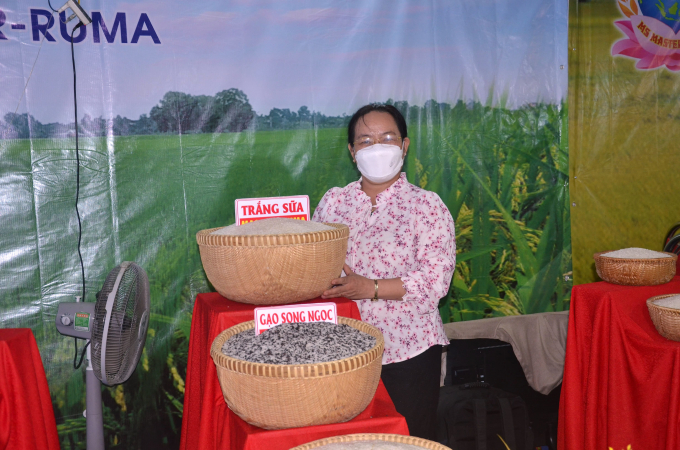 Độc đáo gạo hai màu Song Ngọc tại Festival lúa gạo Việt Nam lần thứ V. Ảnh: Minh Đảm.