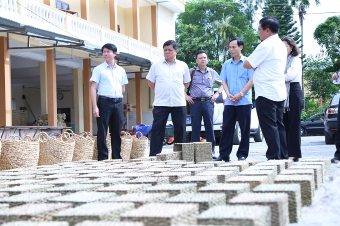 Deputy Minister of Agriculture and Rural Development Tran Thanh Nam (second from left) visiting the production area of Doi Moi Co., Ltd. in Kim Son district. Photo: Minh Phuc.