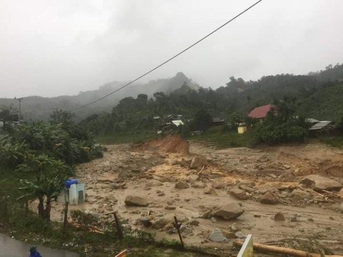 Landslides in Phuoc Son District, Quang Nam province. Photo: Le Khanh.