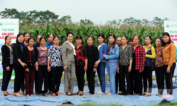 Many other provinces across the country have promoted and successfully switched to growing silage corn, such as Quang Binh, Nghe An, Son La ... Farmers have benefited a lot in shortening the crops, preventing rain and flood and increasing land use.