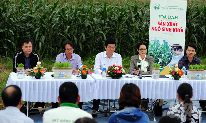 On November 3rd, Deputy Director of the National Agricultural Extension Center, Ms. Ha Thuy Hanh and other farming experts attended the Seminar on 'Silage corn Production' in Lien Chau Commune, Yen Lac District, Vinh Phuc Province. At the seminar, Ms. Hanh listened to the farmers sharing on planting this new crop.