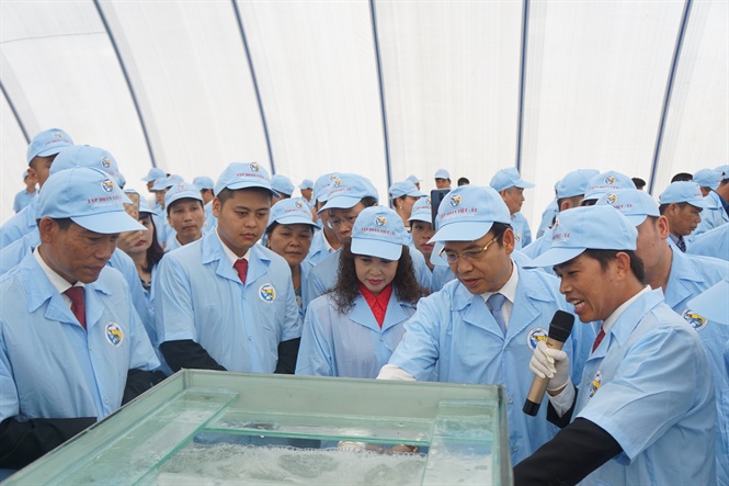 Given the aspiration of 'Raising the level of Vietnamese shrimp' and great efforts extended to the project, the high – quality shrimp production Complex of Viet – Uc Group in Dam Ha district (Quang Ninh province) has basically completed all items and started to produce shrimp seeds as well as commercial shrimps. Photo: Dong Bac.