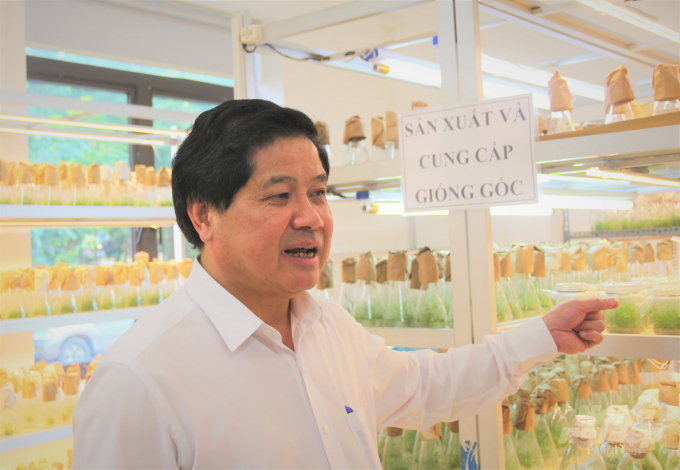 Deputy Minister of Agriculture and Rural Development Le Quoc Doanh affirmed that the forestry sector is now full of potential, with tree breeding as a key factor. Photo: Pham Hieu.